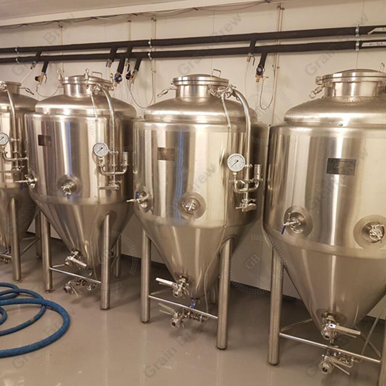 3BBL Beer Brewing Fermentation Tank